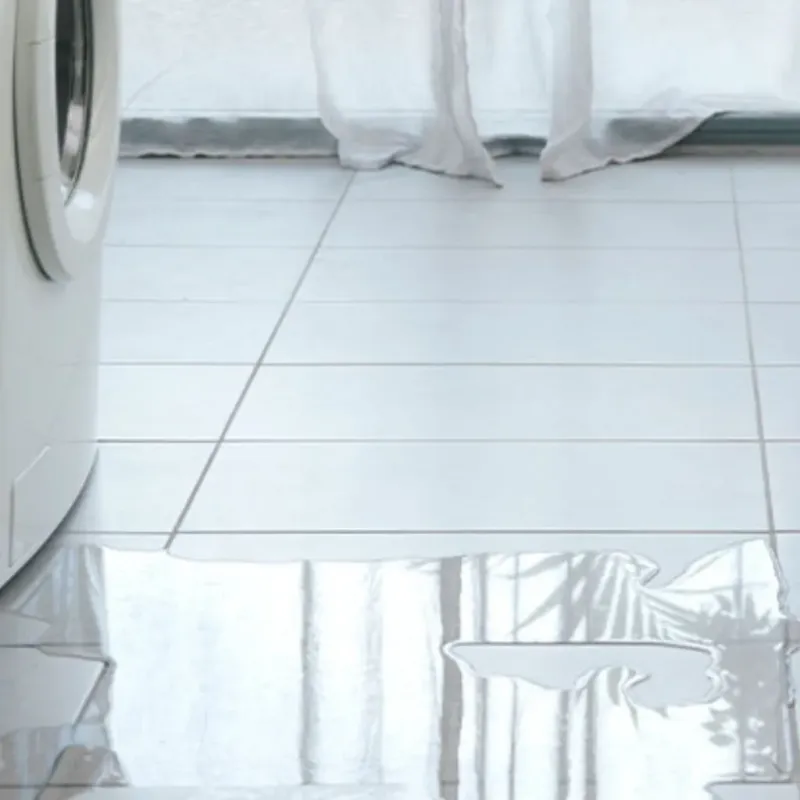 Appliance Leak Cleanup in Albany, KY