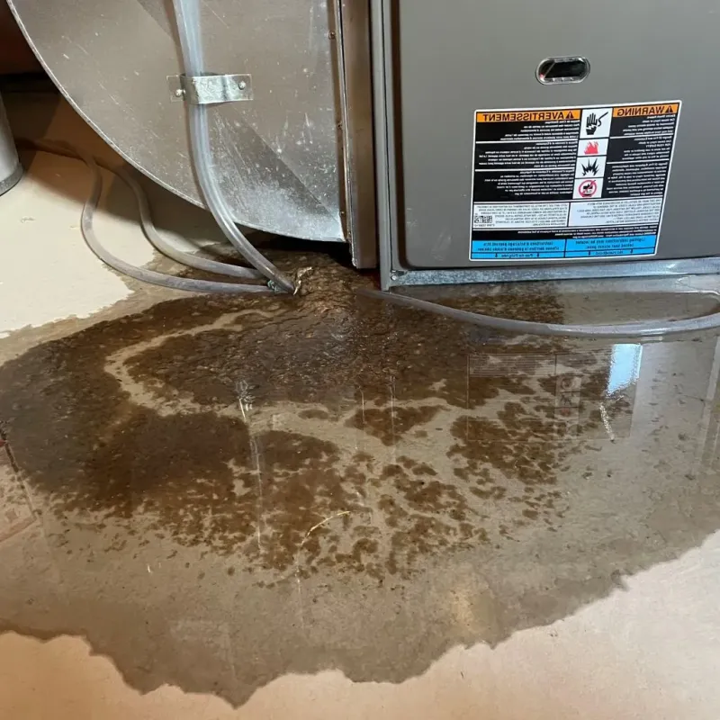 Pipe Burst and Leak Restoration in Albany, KY
