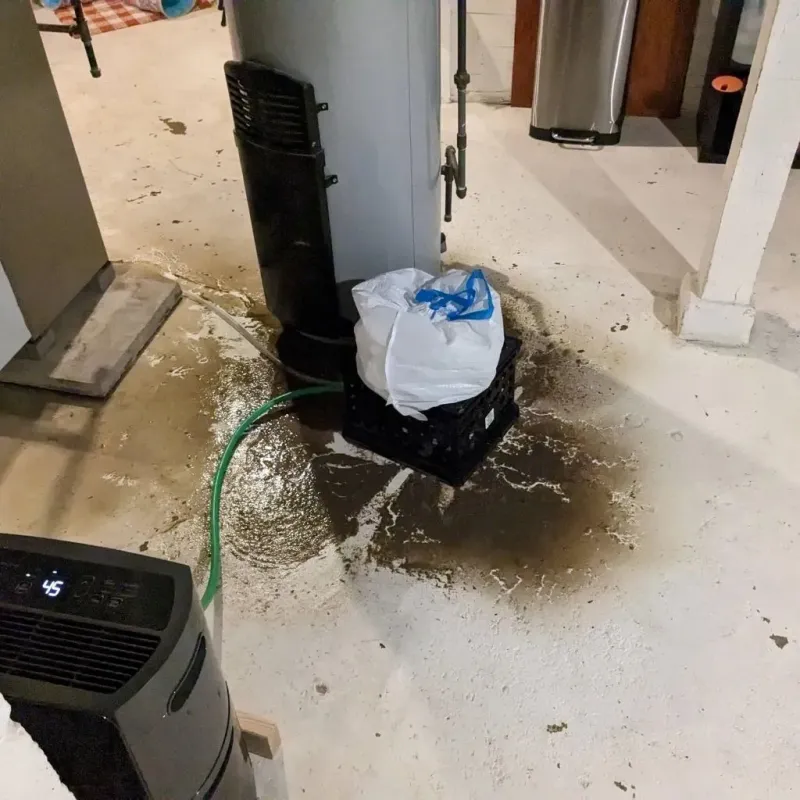 Sewage Backup Cleanup Service in Albany, KY
